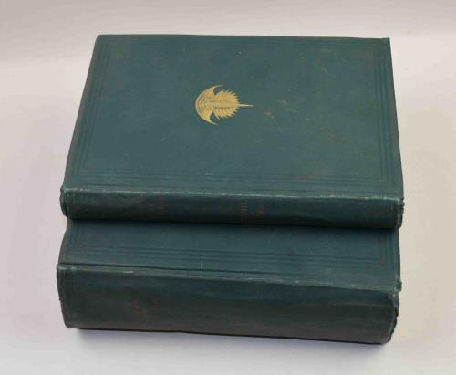 Geological survey of Illinois. Volume VIII. Geology and Palaeontology.