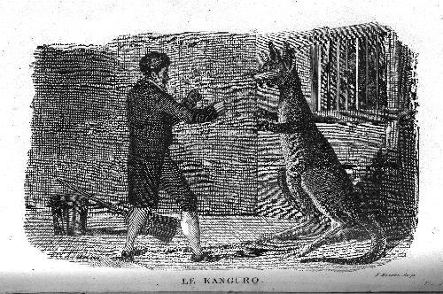 Le cabinet du jeune naturaliste ou tableaux interessants de l'histoire …