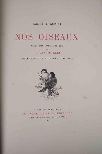 Nos oiseaux.