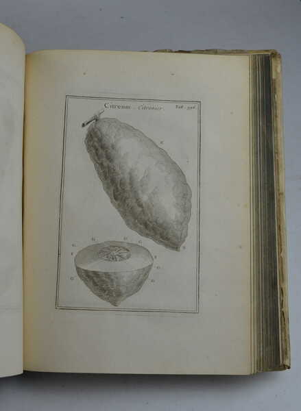 Institutiones rei herbariae. Editio tertia appendicibus aucta ab Antonio de …