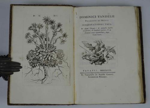 Dissertationes Tres. De Aponi Thermis: de Nonnullis Insectis Terrestribus, & …