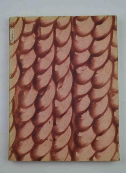 Serie cronologico-istorica dei Canonici di Padova.