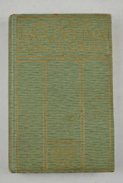 La Valtellina. Guida turistica illustrata con 296 fotoincisioni e carta …