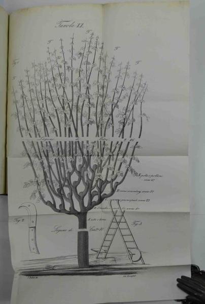 L'educazione del gelso compiuta in sette anni e dimostrata… Trattato …