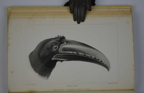 Deucalion. Collected studies of the lapse of waves, and life …