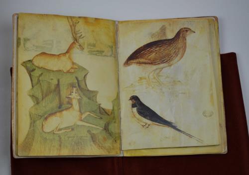 Taccuino di disegni di Giovannino de' Grassi. Cassaf. 1.21 della …