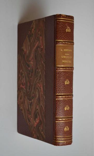 Virgilio minore. Saggio sullo svolgimento della poesia virgiliana.