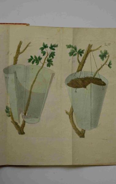 Il giardiniere avviato nell'esercizio nella sua professione… Edizione terza accresciuta …