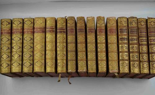 Histoire naturelle générale et particuliére avec la déscription du Cabinet …