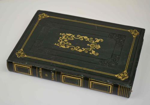 Napoléon en Egypte Waterloo et les fils de l'homme…