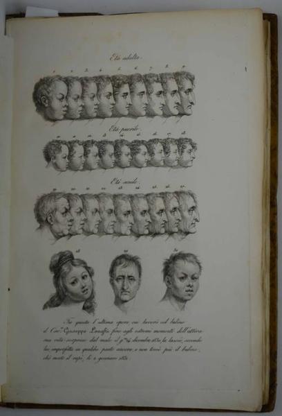 La Calcografia propriamente detta, ossia l'Arte d'Incidere in rame coll'Acqua-forte, …