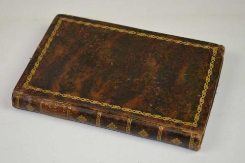 Scherzi poetici e pittorici…