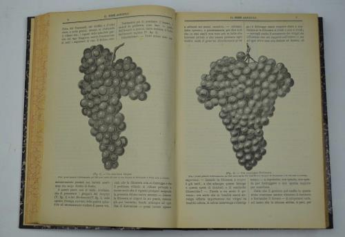 Il mese agricolo. Illustrazione mensile del campo, dell'orto e del …