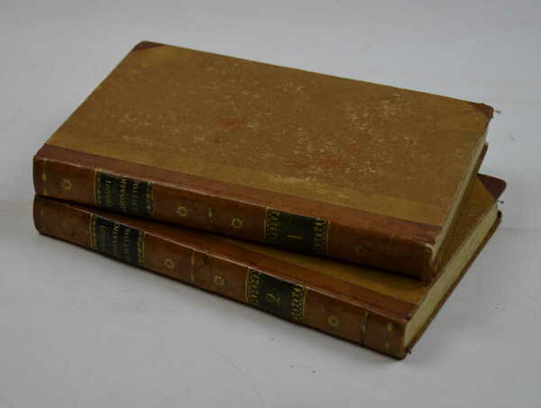 Dizionario dei pittori dal rinnovamento delle belle arti fino al …