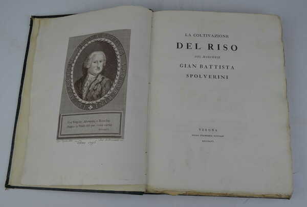 La coltivazione del riso.