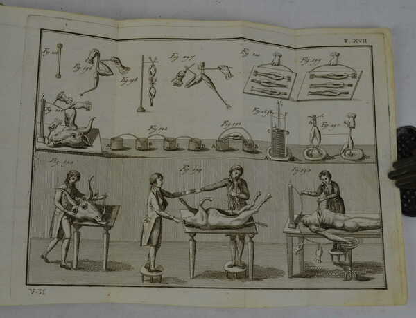 Trattato elementare di fisica esposto in un ordine nuovo secondo …