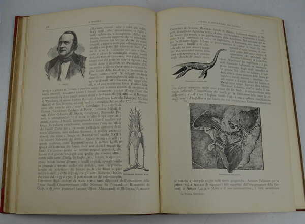 Il secolo XIX nella vita e nella cultura dei popoli. …