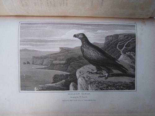 Zoography; or the Beauties of Nature Displayed in select descriptions …