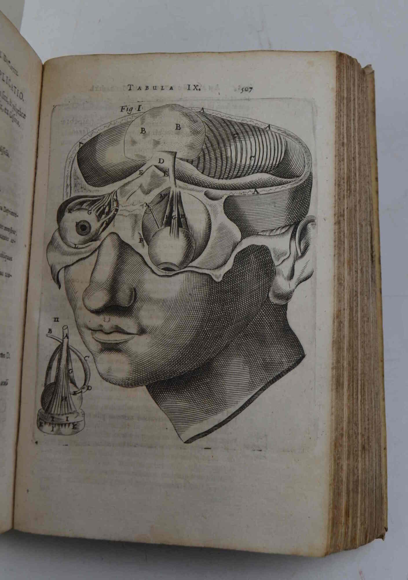 Anatome quartum renovata: non tantum ex Institutionibus b. m. Parentis, …