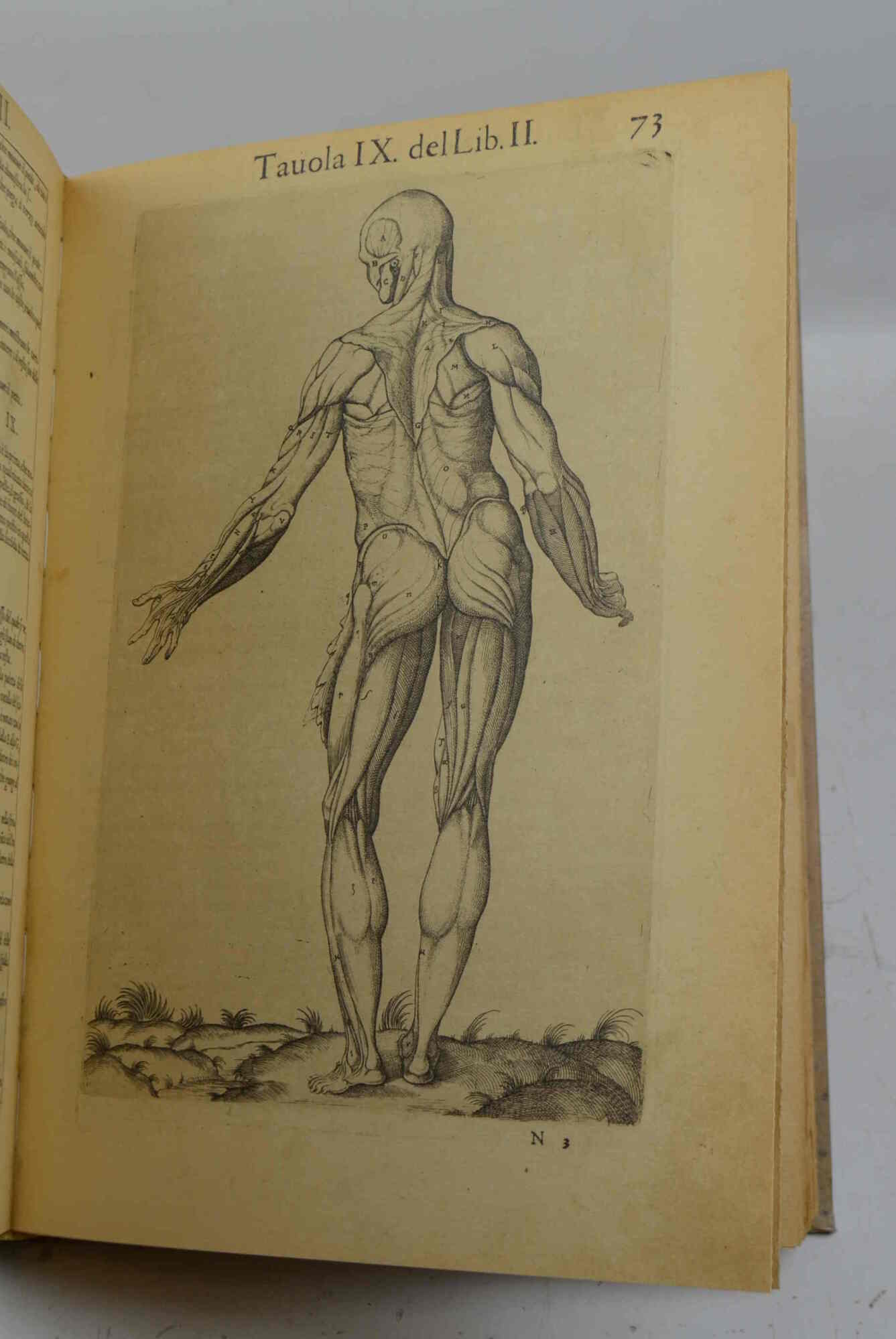 Anatomia del corpo humano composta per M. Giovan Valverde di …