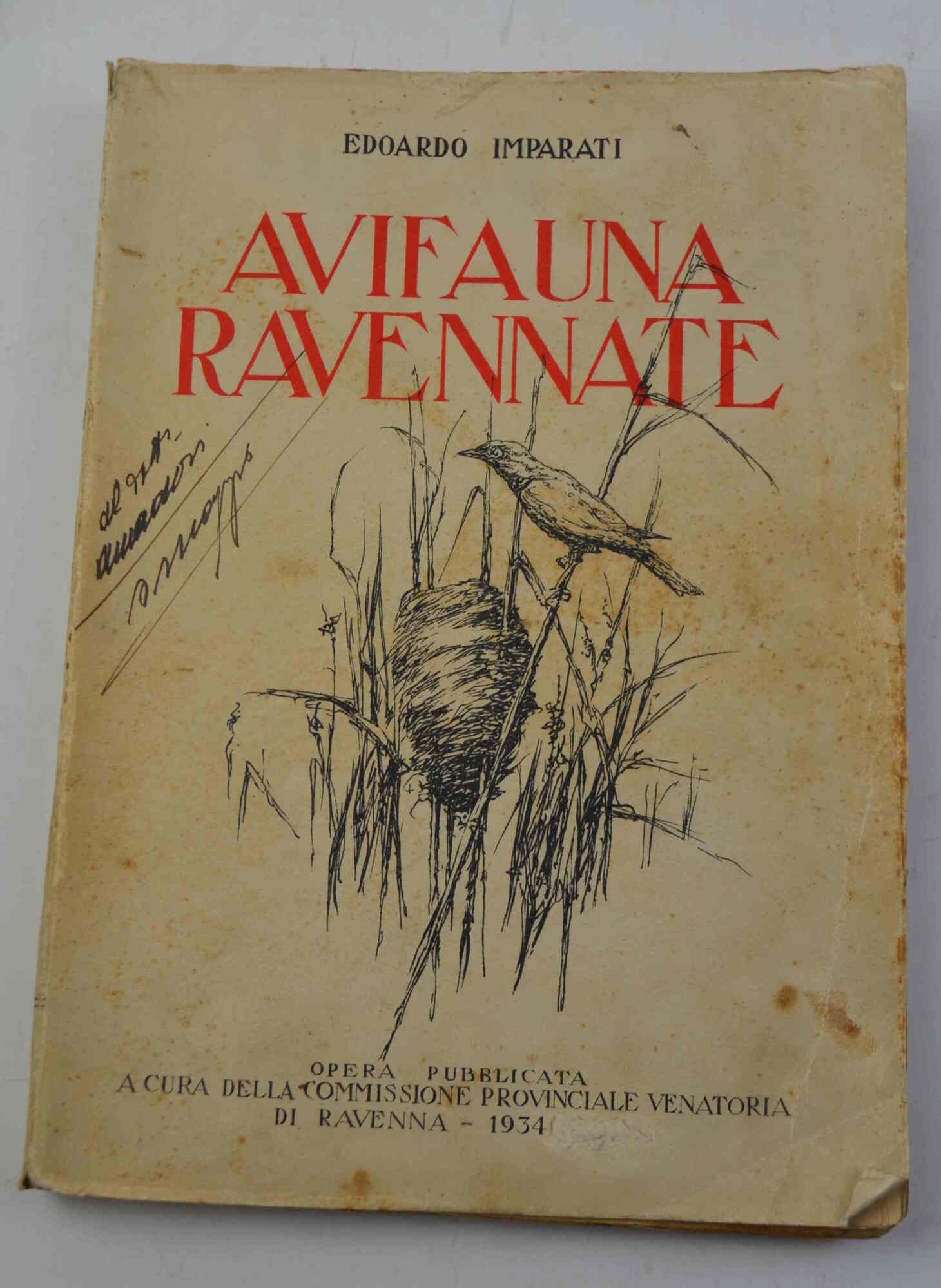 Avifauna ravennate.