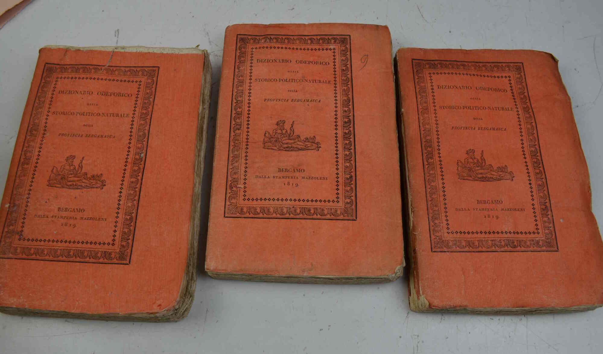 Dizionario odeporico o sia storico-politico-naturale della provincia bergamasca...