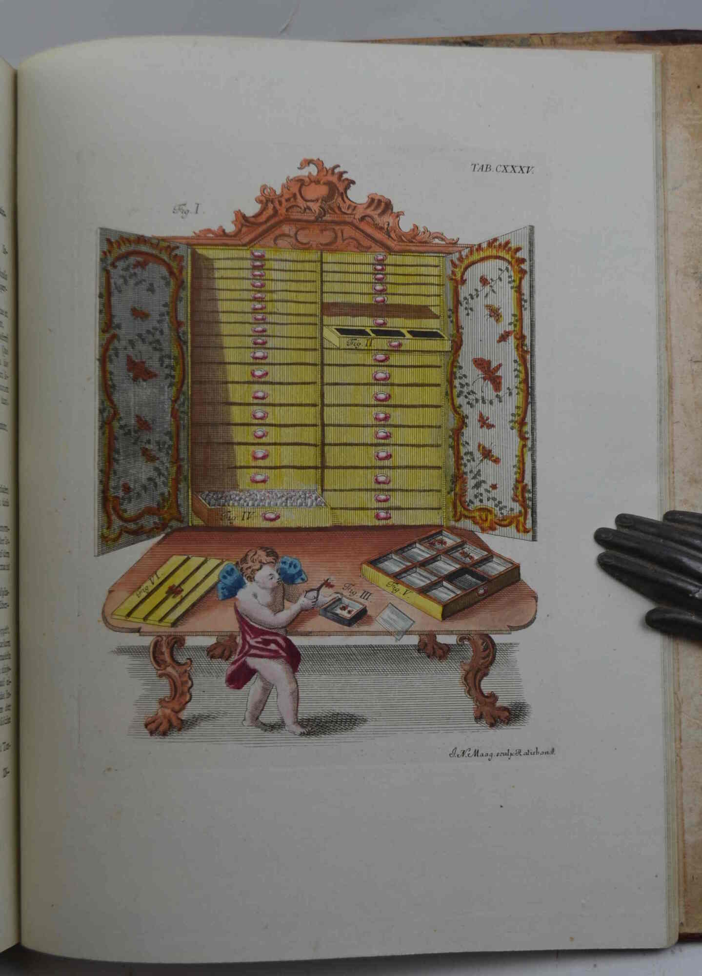 Elementa entomologica cum apendice. Einleitung in die Insectenkenntnis mit einem …