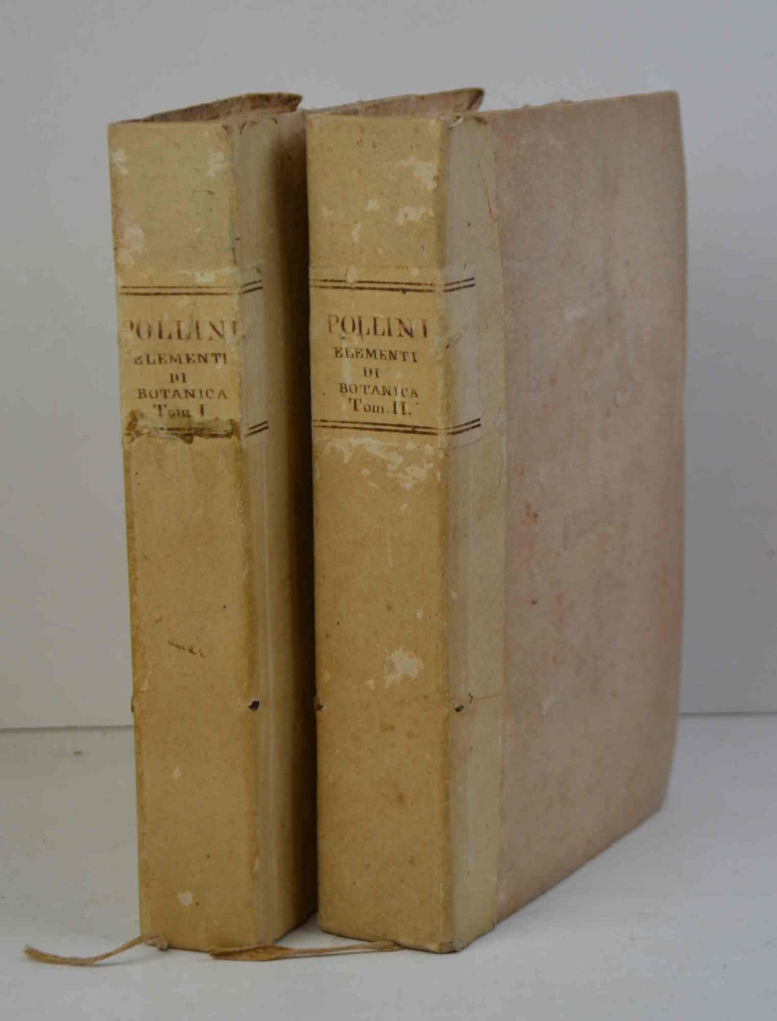 Elementi di botanica... con molte tavole in rame disegnate dall'autore.