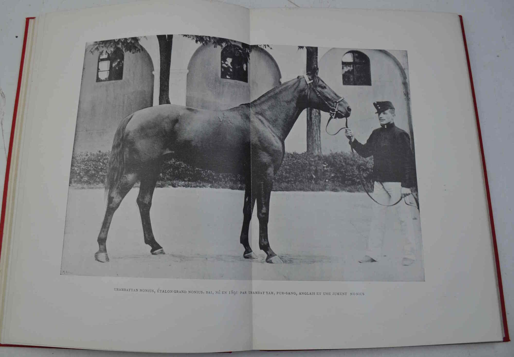 Elevage officiel en Autriche-Hongrie: I. Les haras de la liste …