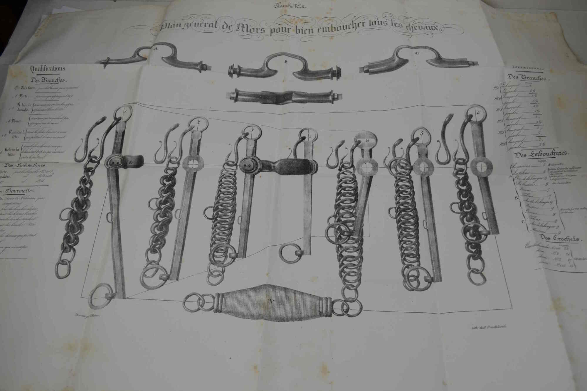 Examen du cours d'équitation de M. d'Aure, écuyer en chef …