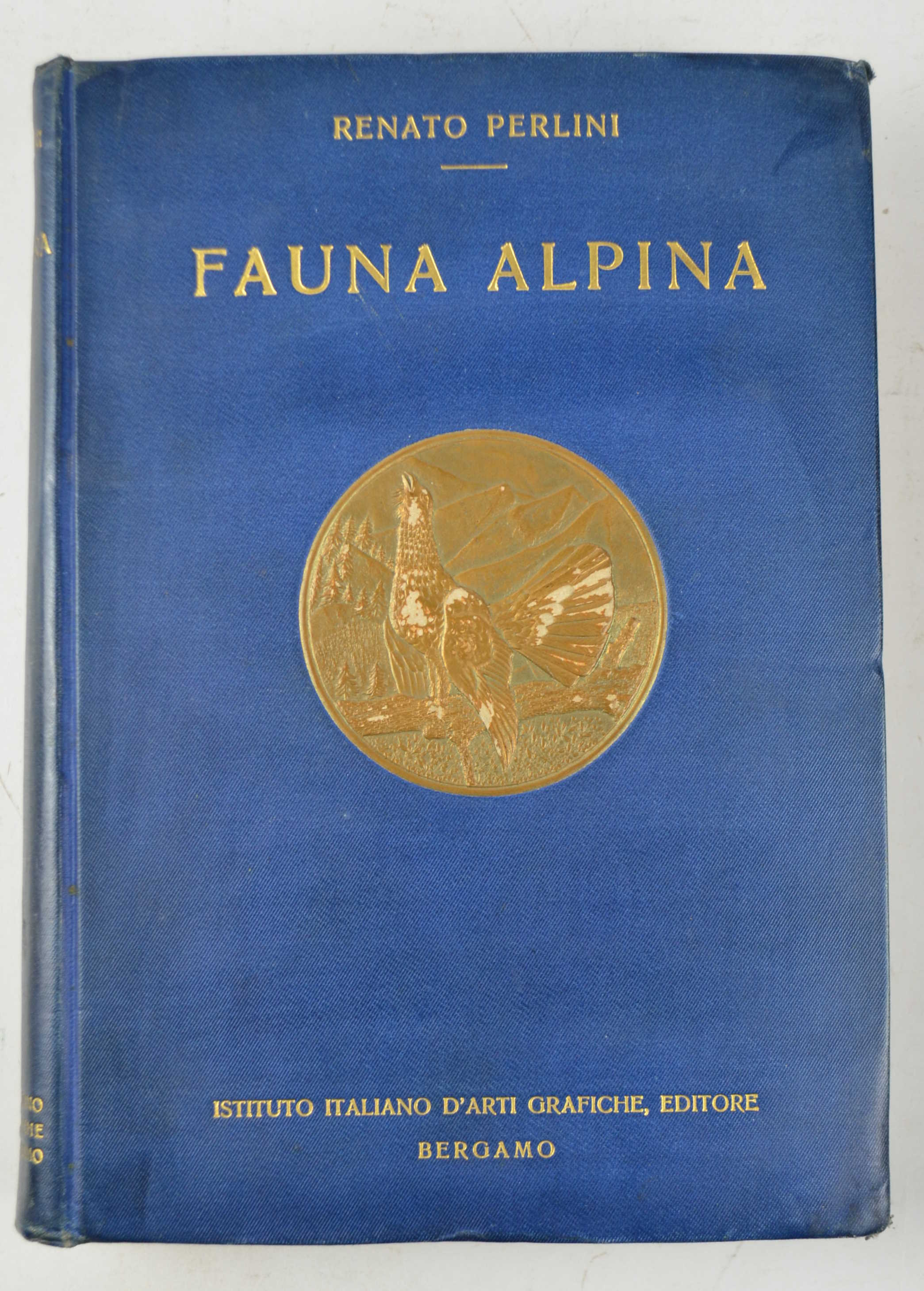 Fauna alpina (vertebrati delle Alpi).