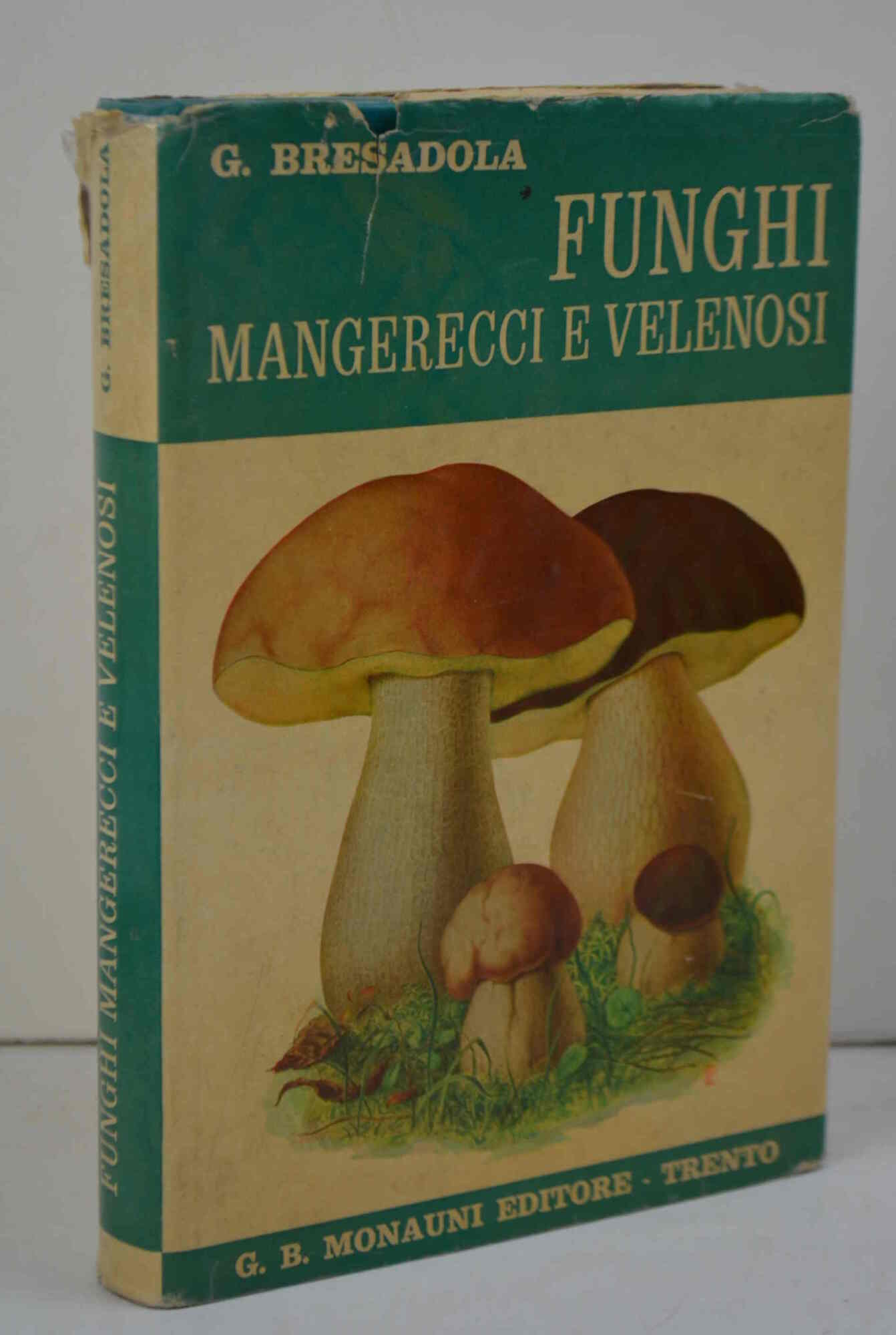 Funghi mangerecci e velenosi.
