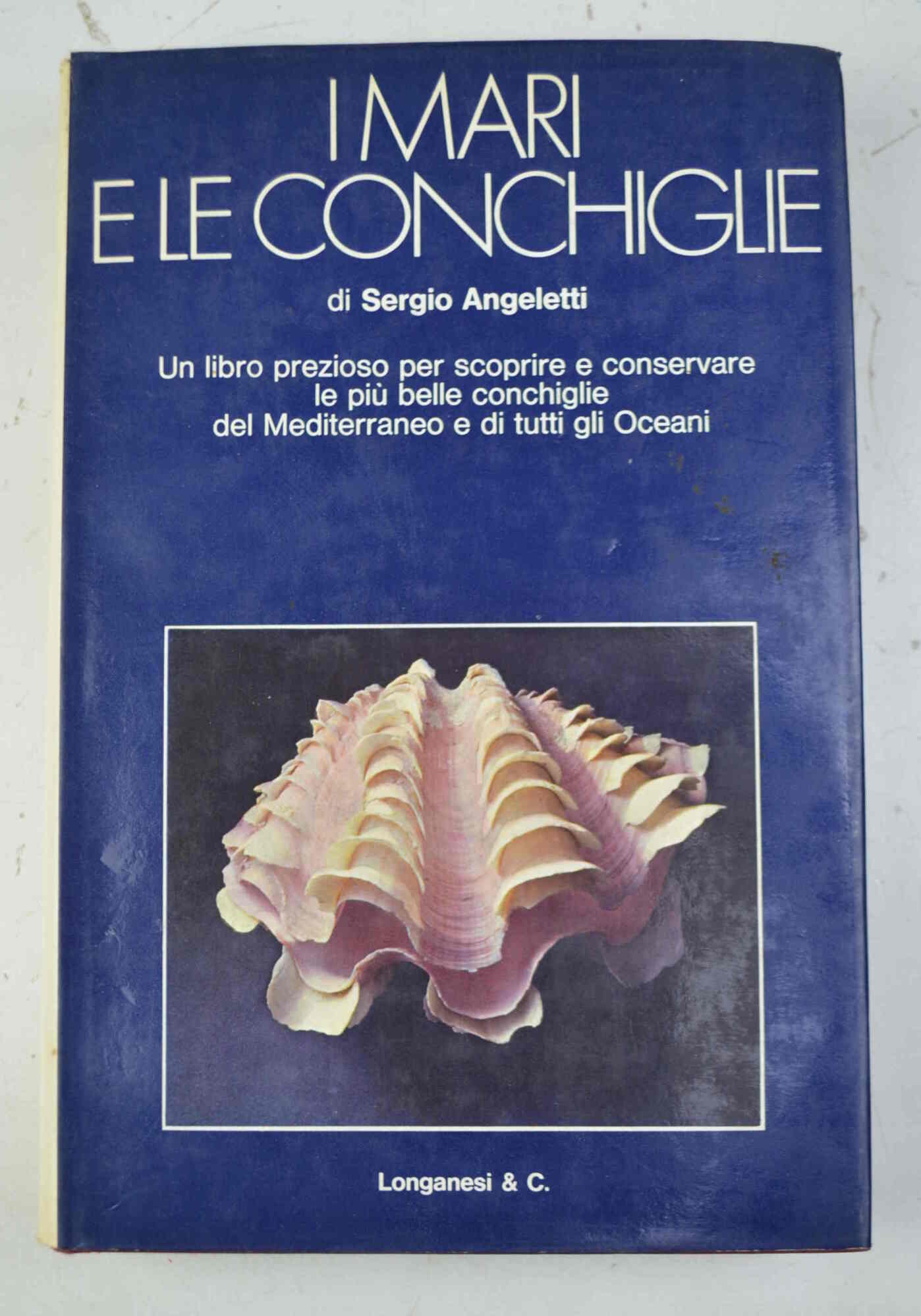 I mari e le conchiglie.