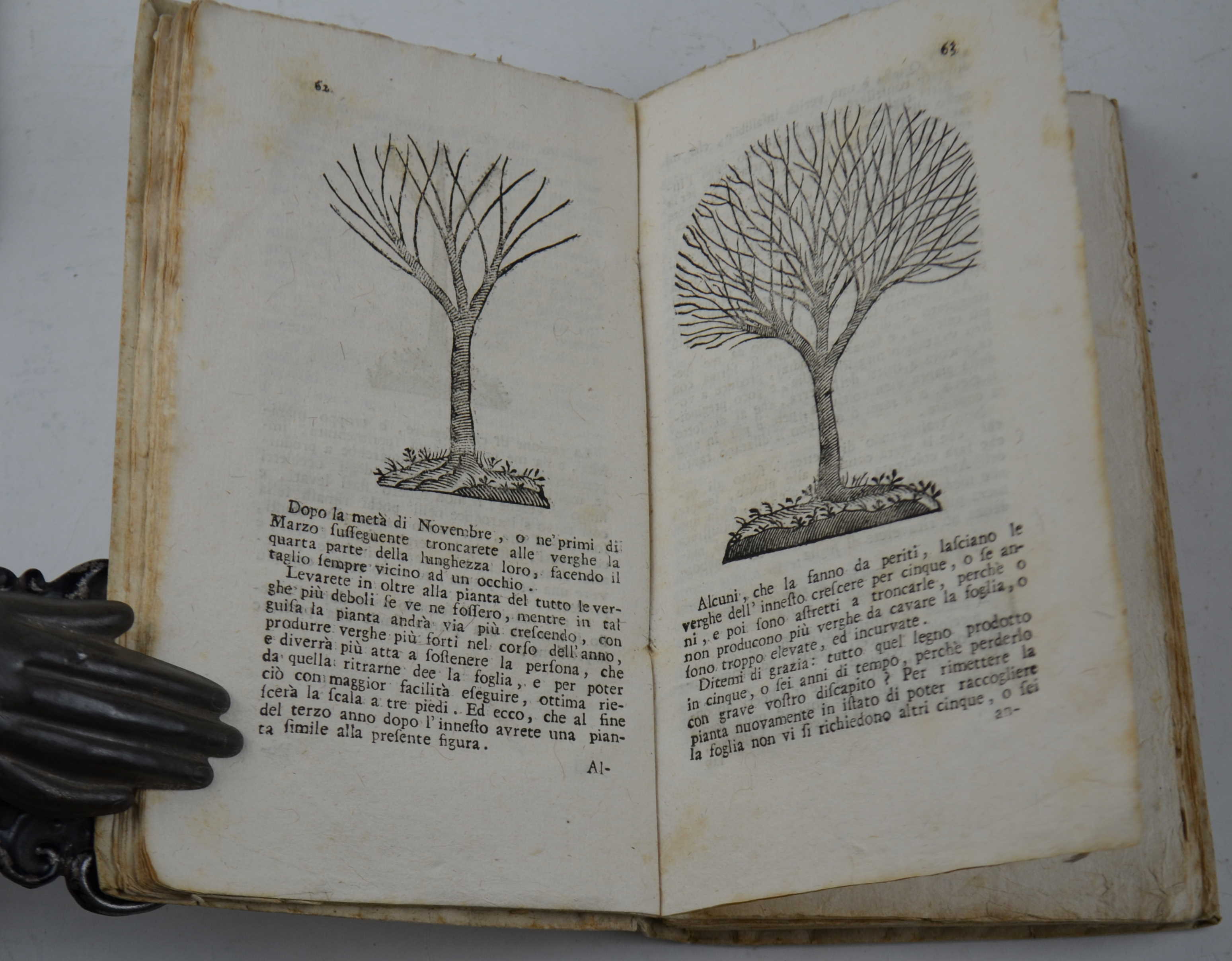 Il semplice ortolano in villa, e l'accurato giardiniere in città...