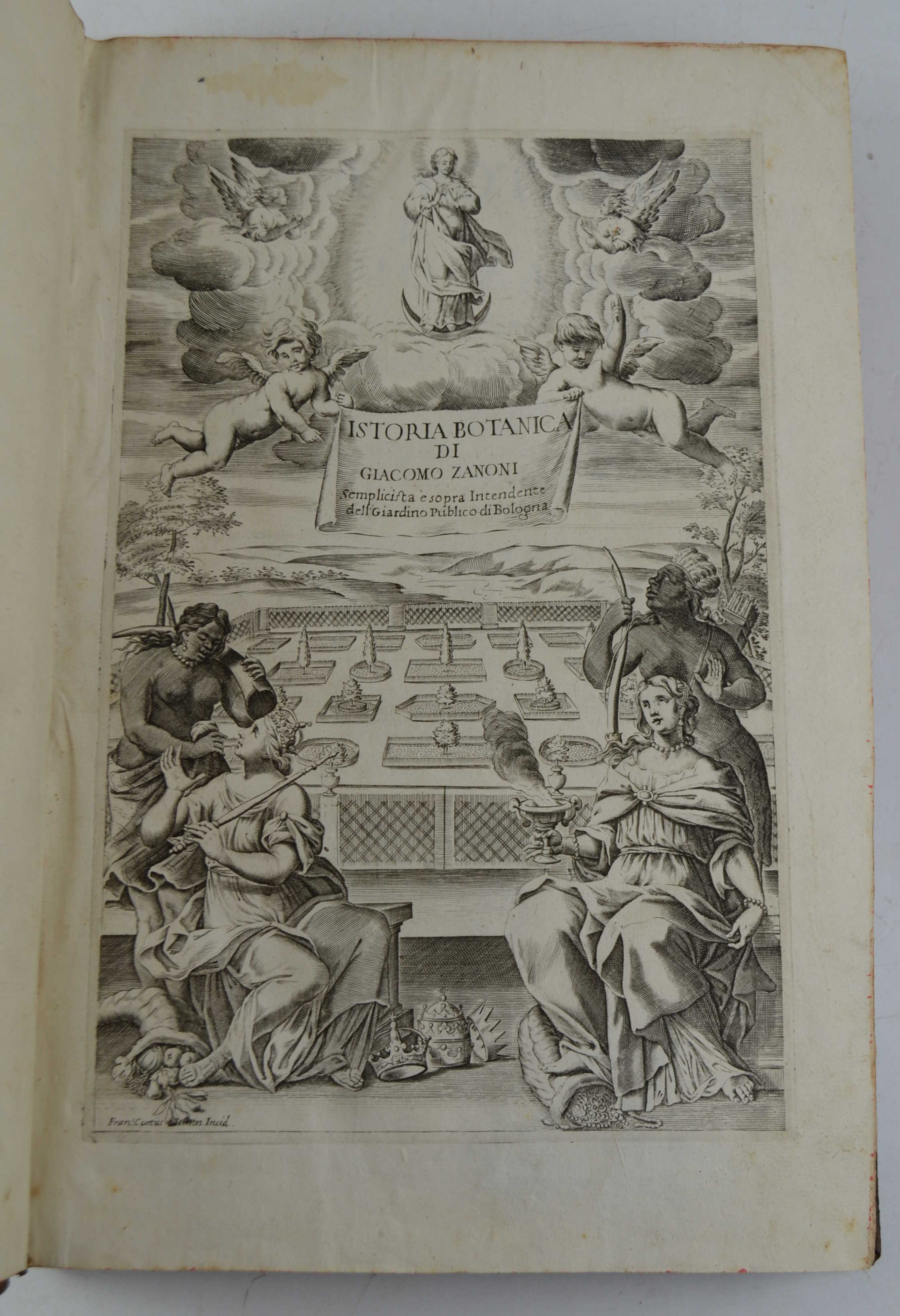 Istoria botanica... Nella quale si descrivono alcune Piante de gl'Antichi, …