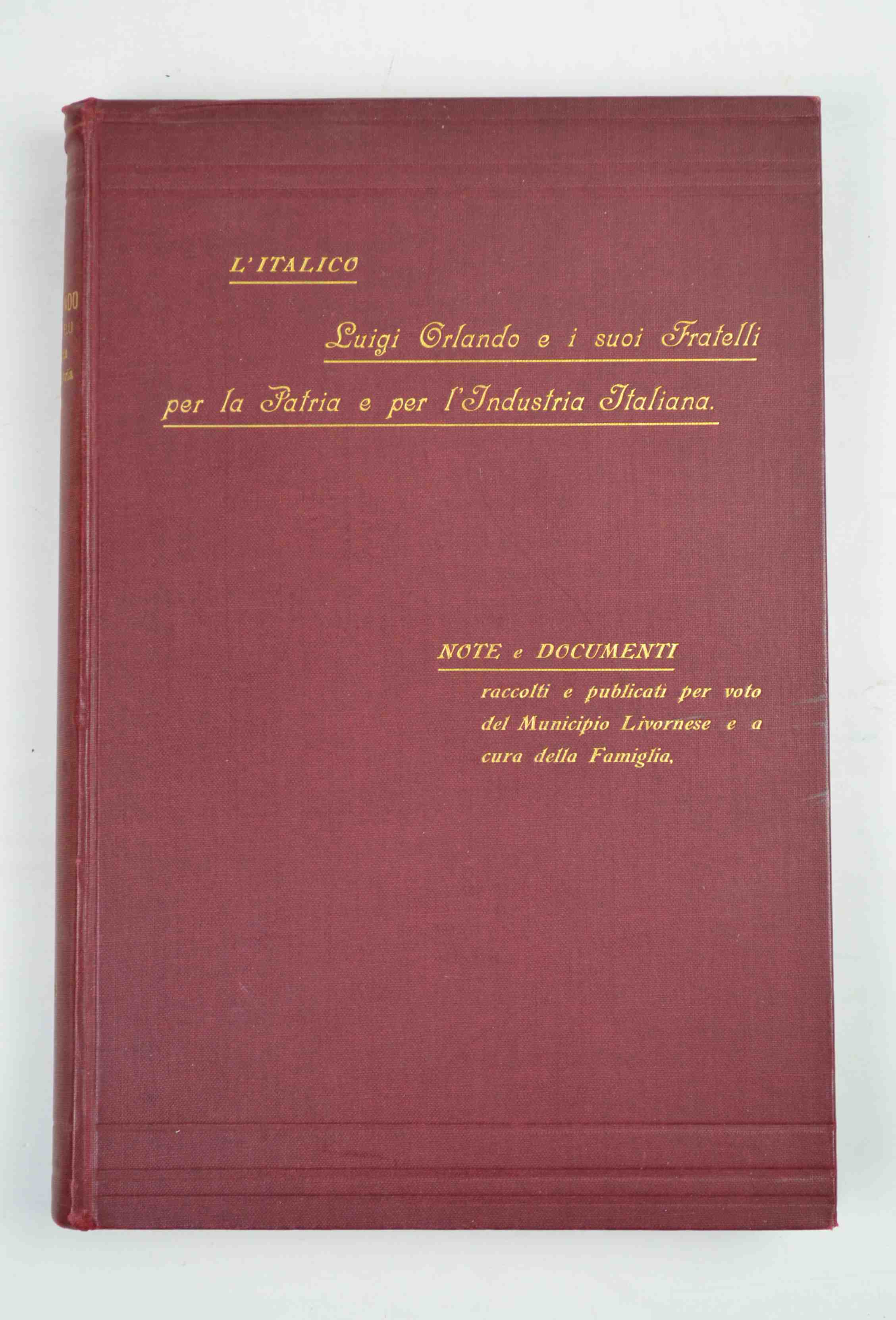 L'Italico. Luigi Orlando e i suoi fratelli per la patria …