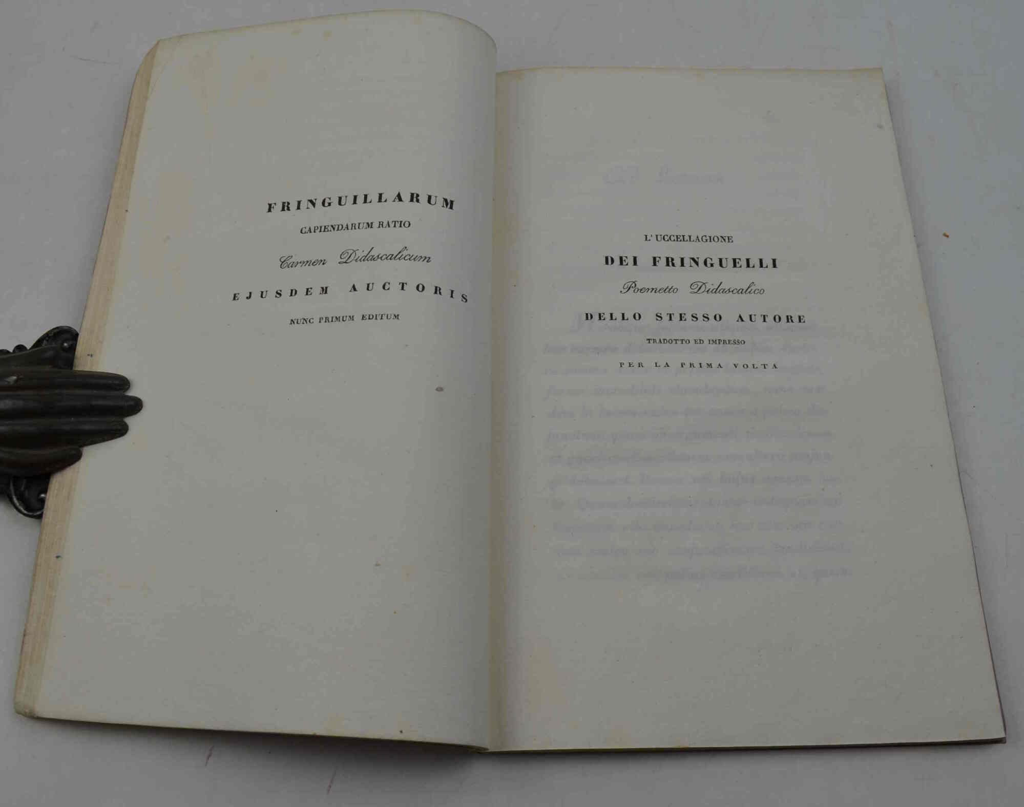 La educazione dei fringuelli... - L'uccellagione dei fringuelli...