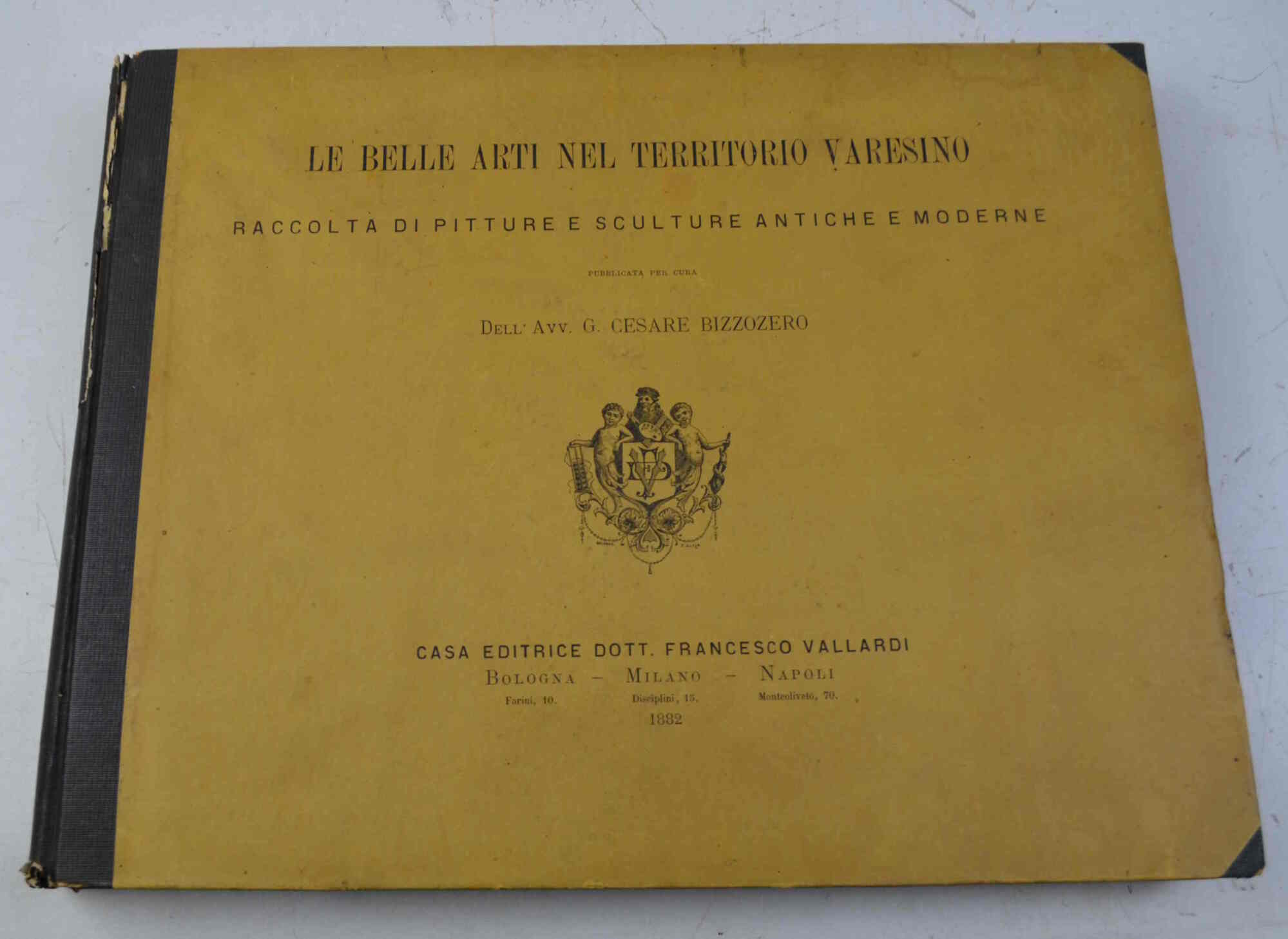 Le belle arti nel territorio varesino. Raccolta di pitture e …