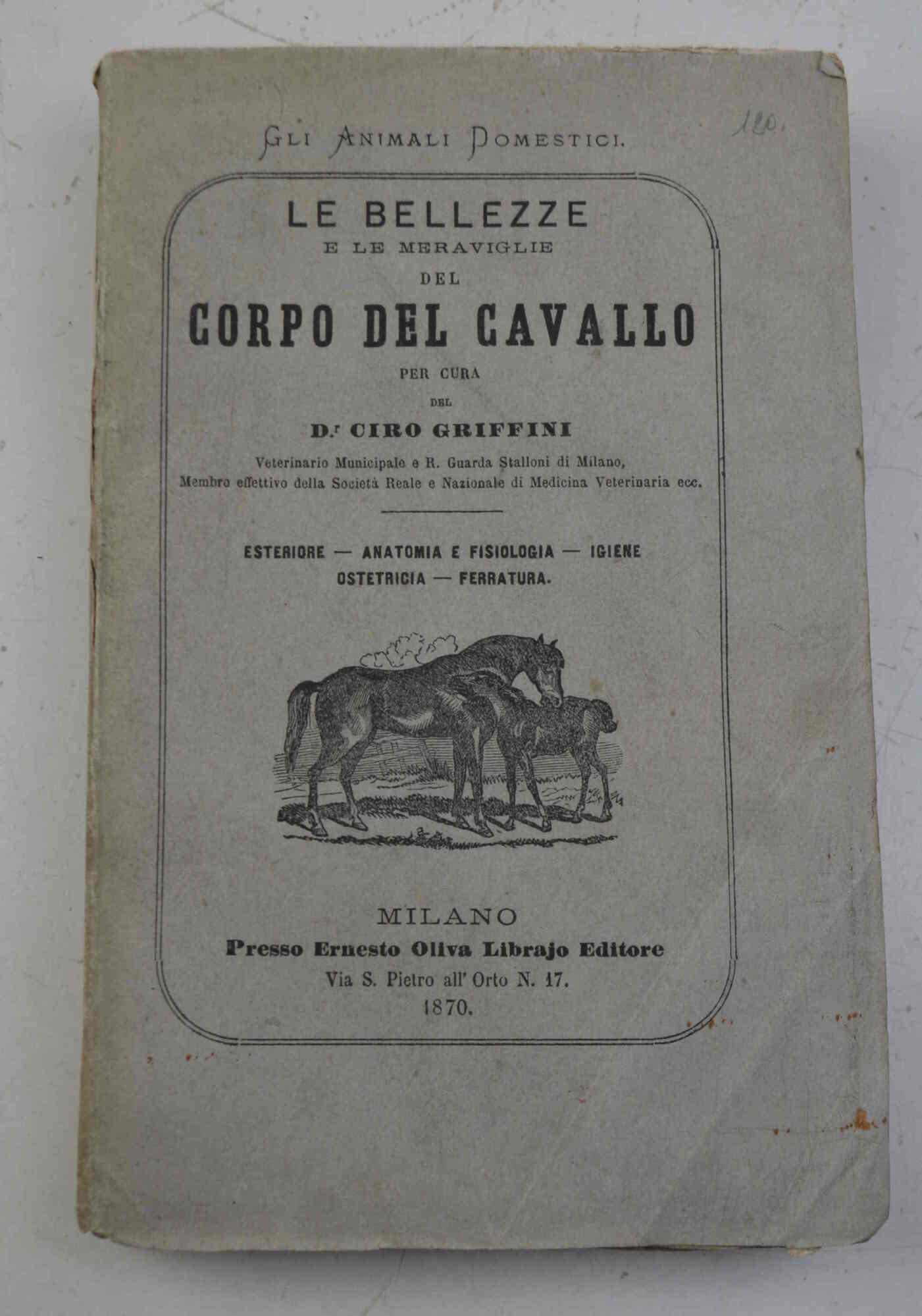 Le bellezze e le meraviglie del corpo del cavallo...