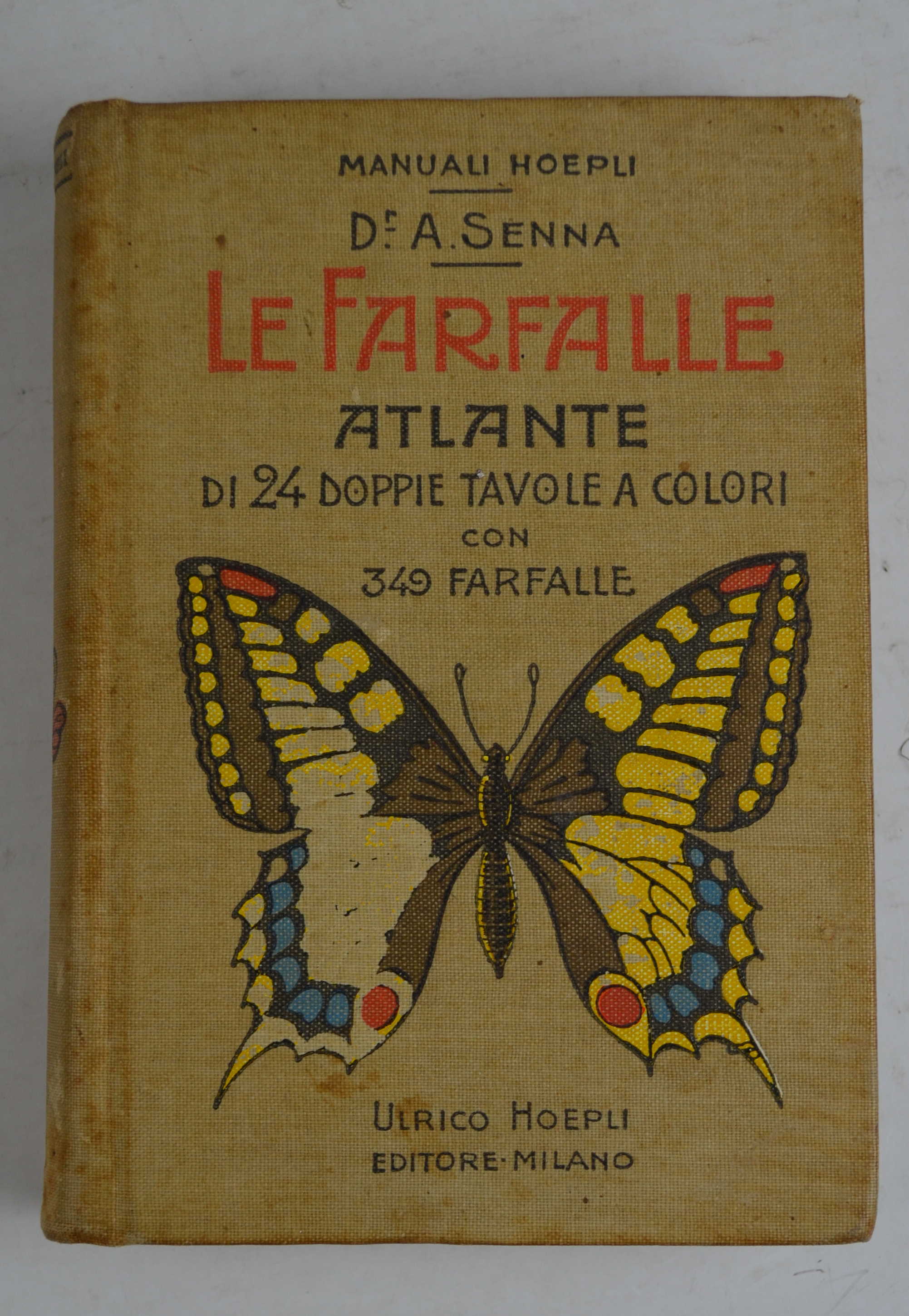 Le farfalle…