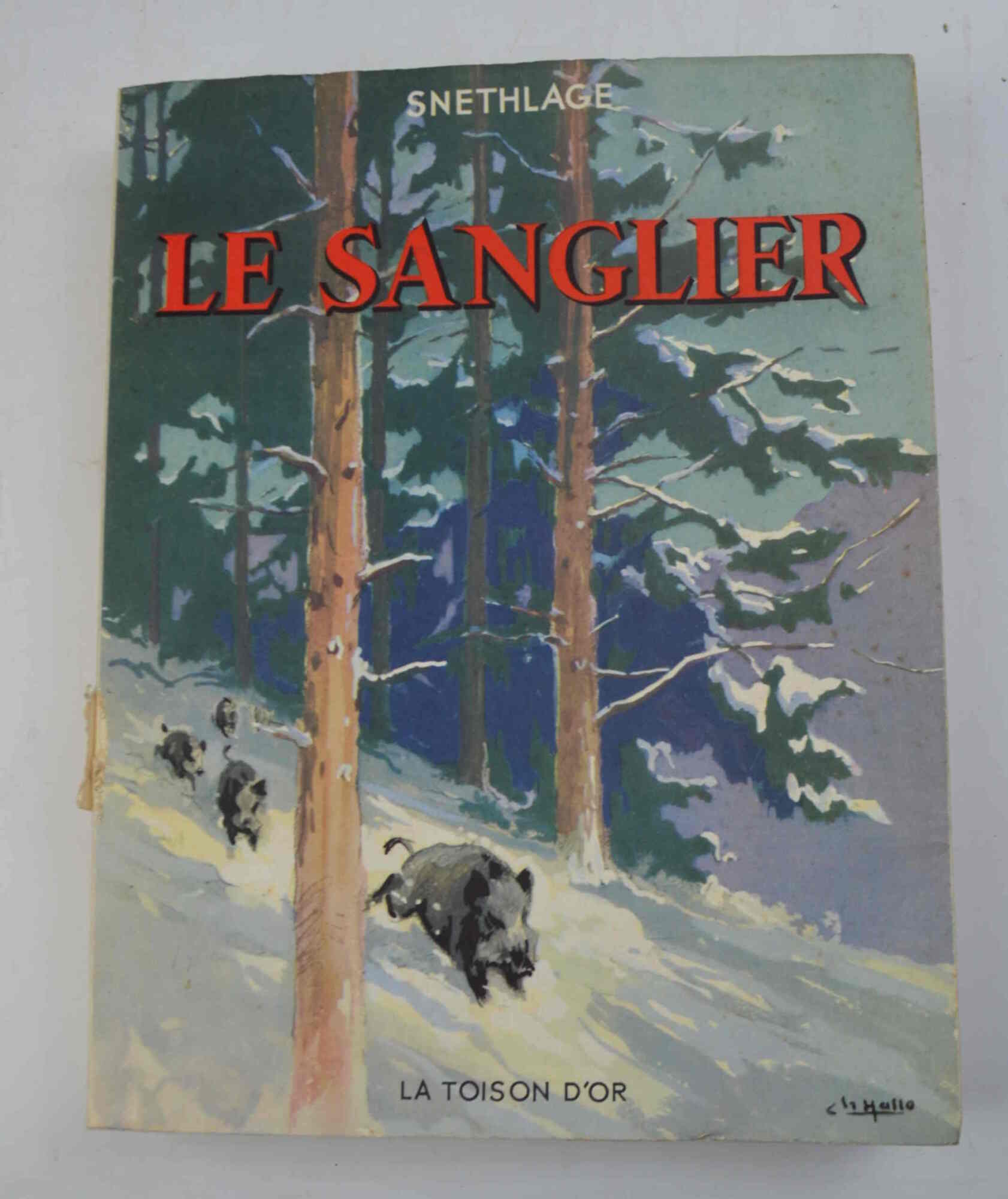 Le sanglier...