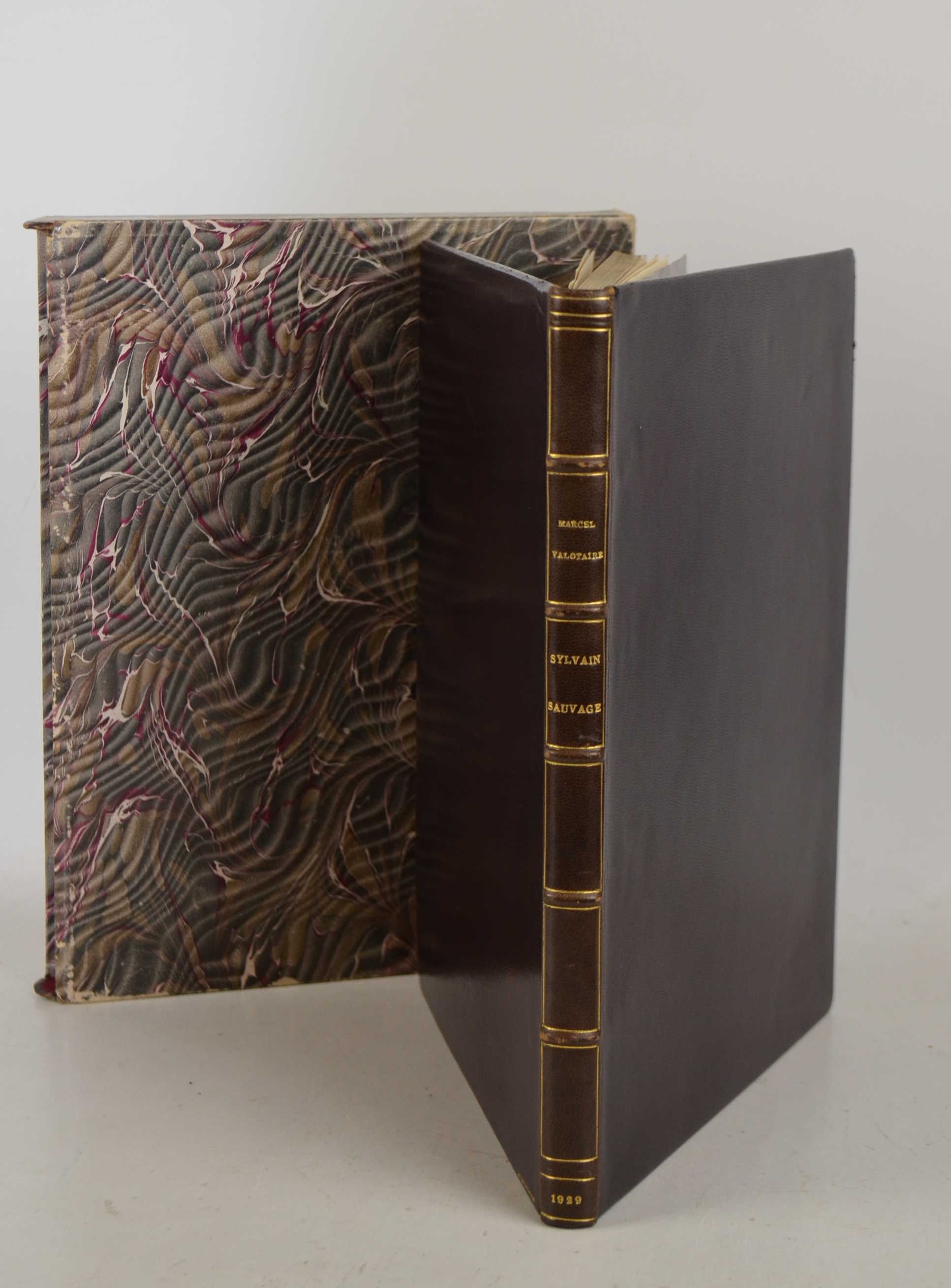 Les artistes du livre. Sylvain Sauvage.