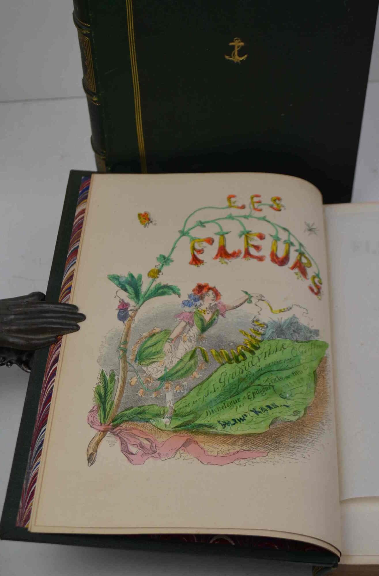Les fleurs animées... Nouvelle édition...