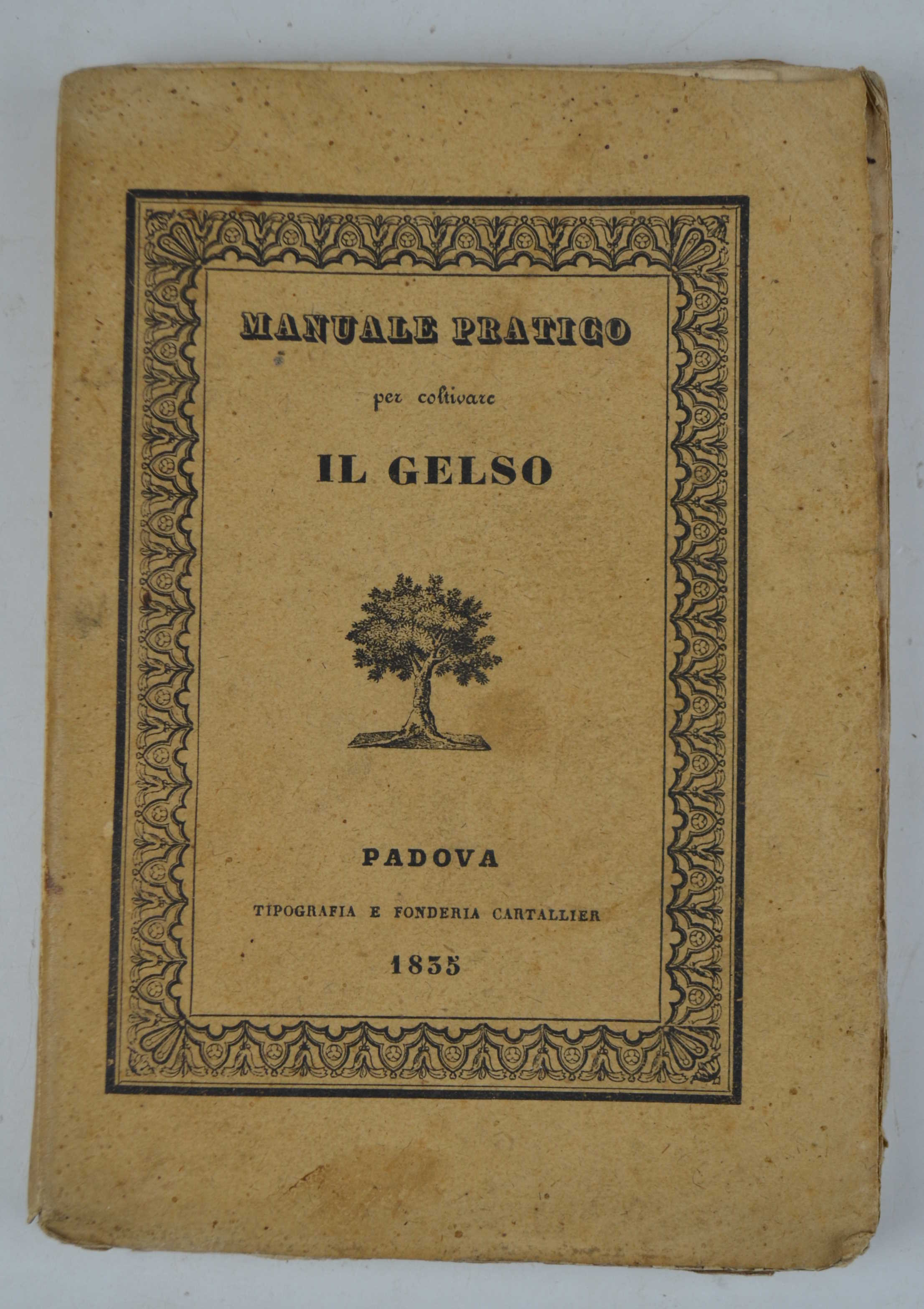 Manuale pratico per coltivare il gelso e per formare siepi …