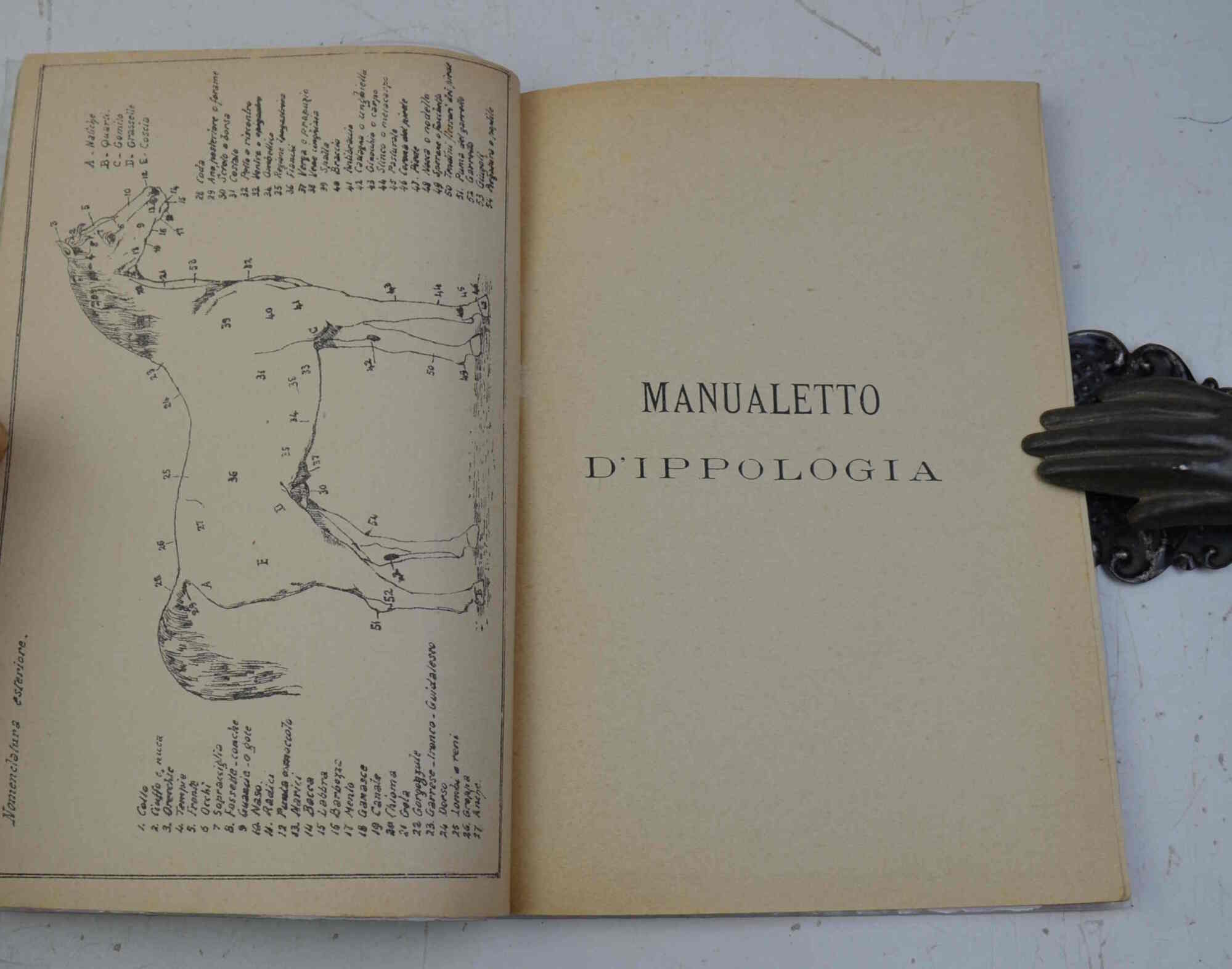 Manualetto d'ippologia.