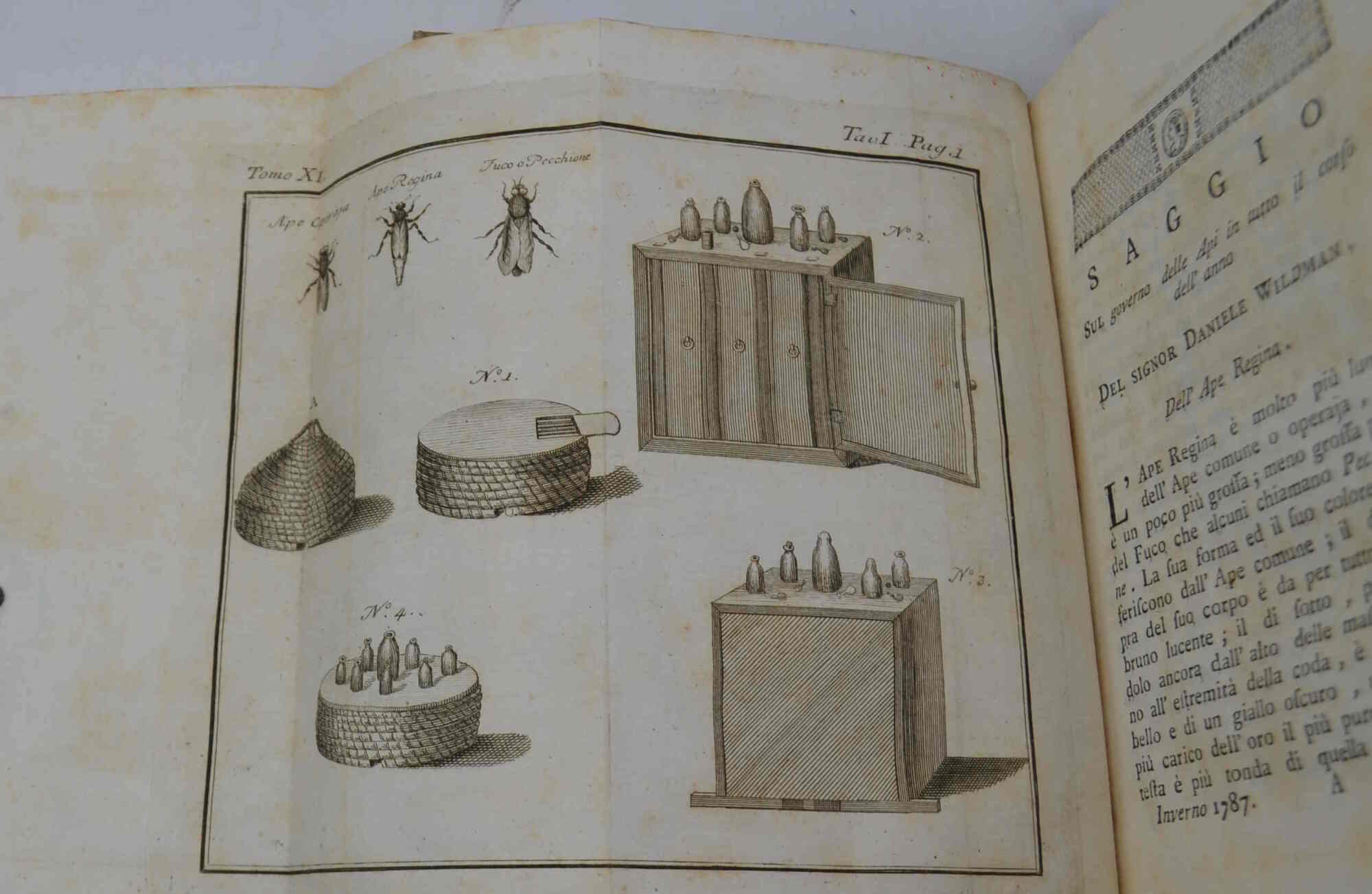 Memorie di agricoltura, di economia rurale e domestica pubblicate Dalla …