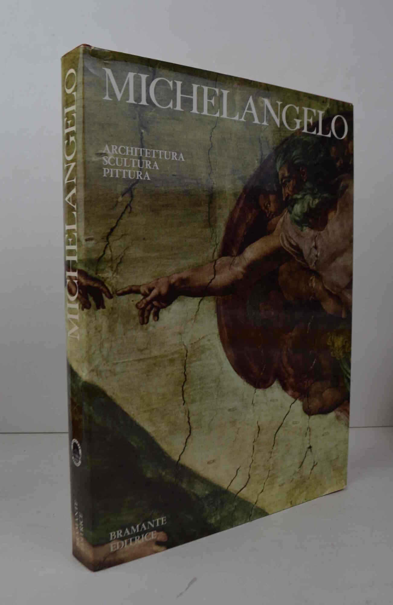 Michelangelo. Architettura - Pittura - Scultura.