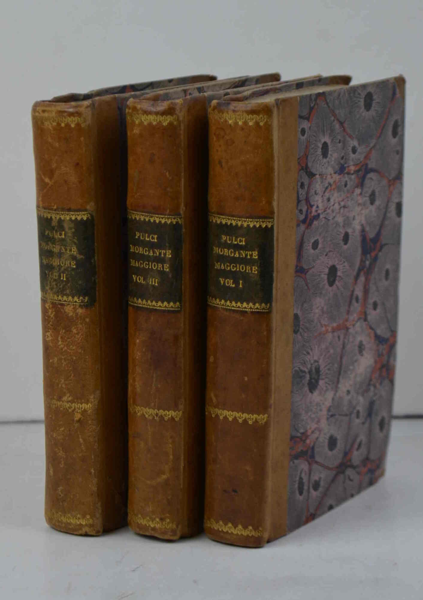 Morgante maggiore.