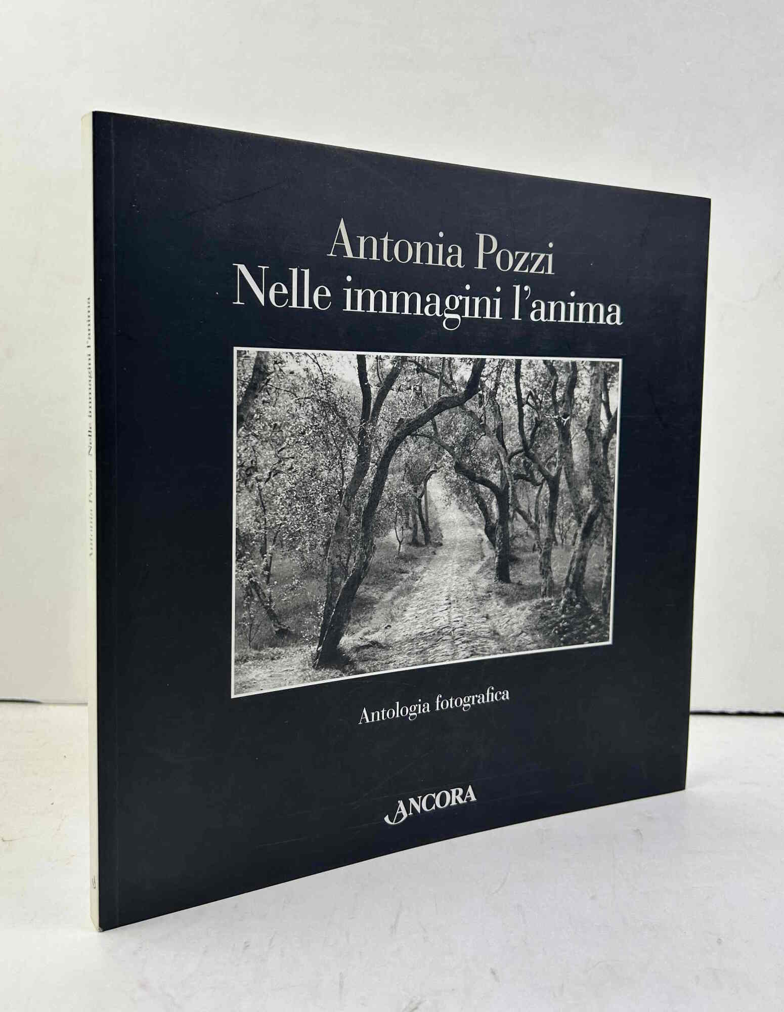 Nelle immagini l'anima.