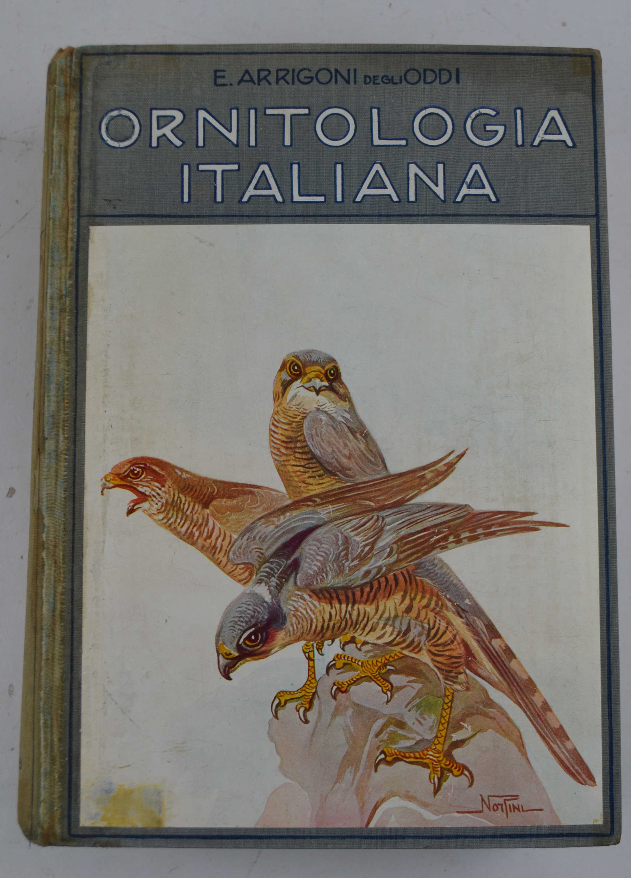 Ornitologia italiana.